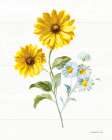 Bees and Blooms Flowers IV Art Print
