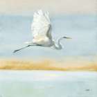 Flight Blue Sky Art Print