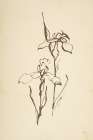 Vintage Line Iris II Art Print