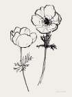 Ink Anemones II Black Art Print