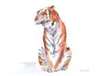 Wild Tiger II Art Print