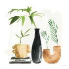 Weekend Plants III Art Print