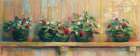 Strawberries in Pots Art Print