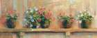 Petunias in Pots Art Print