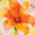 Bright Tulips II Art Print
