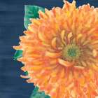 Floral Drama XI Art Print