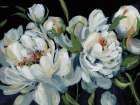 Peony Season I Art Print