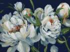 Peony Season I Navy Art Print