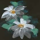 Clematis II Art Print