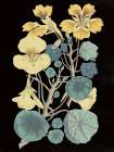 Antique Botanical XVII Cool on Black Art Print