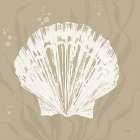 Seaside Style XV Shell Art Print