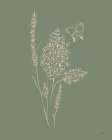 Among Wildflowers I Sage - by York, Leah | Wild Apple | York, Leah