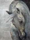 Shy Grey Art Print