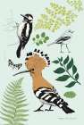 Nature Chart II Art Print