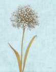 Shimmering Summer I REB Crop Art Print