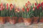 Pattys Tulips Art Print