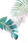 Tropical Floral II Art Print