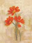Spicy Orange Cosmos Art Print