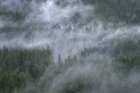 Misty Mountains North Cascades Art Print