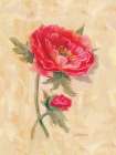 Spicy Poppies Art Print