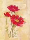 Spicy Red Cosmos Art Print