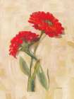 Spicy Zinnias Art Print