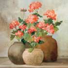 Cottage Geraniums II Art Print