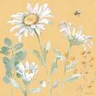 Daisy Days IX Art Print