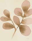 Leaf and Stem VIII