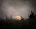 The Prairie Moon Landscape Print