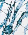 Abstract Splash Art Print
