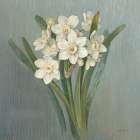 Cottage Narcissus Art Print