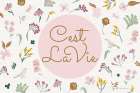 French Garden III Art Print