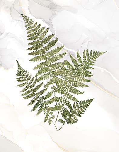 Agate Ferns IX Nature Print
