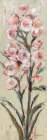 Tall Blush Flowers II Art Print