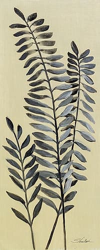 Tall Fern II Nature Print