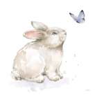 Blooming Bunnies III Art Print