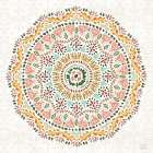 Floral Chic IX Art Print
