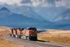 Train I Art Print