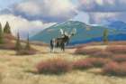 Northern Moose Art Print