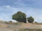 Sky Backdrop Landscape Print