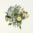 Pansy Party I Art Print