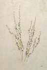 Whispering Grasses III Art Print