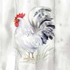 Home to Roost IV Barn Board Art Print