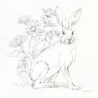 In The Garden II Sketch Art Print