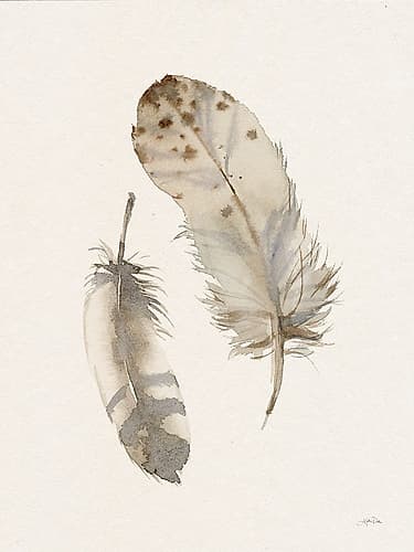 Falling Feathers II Minimalist Print