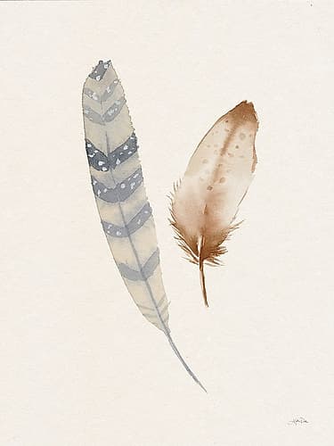 Falling Feathers IV Nature Print