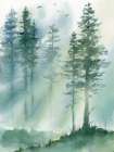 Forest Light Art Print