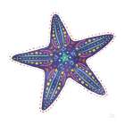 Along the Coast Starfish I Art Print