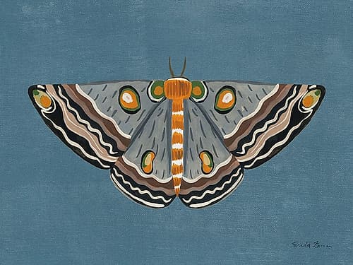Textured Moth I Art Print